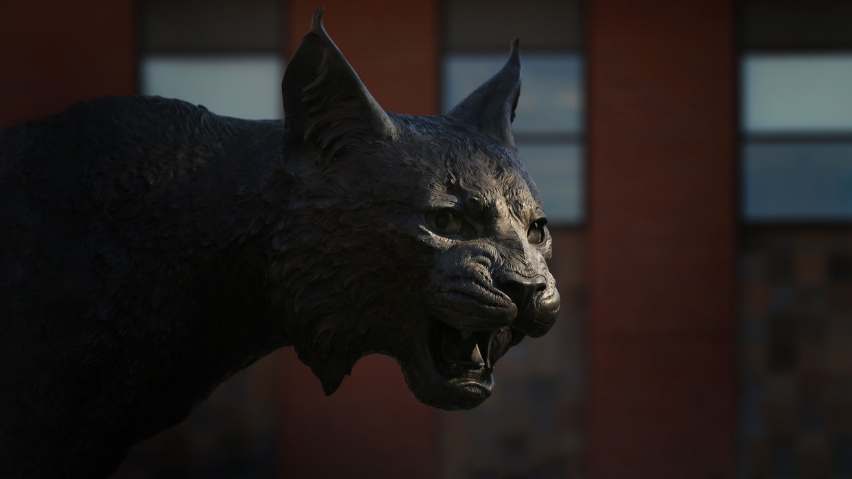 Captivating image of the CWU Wildcat statue that is in front of the SURC.