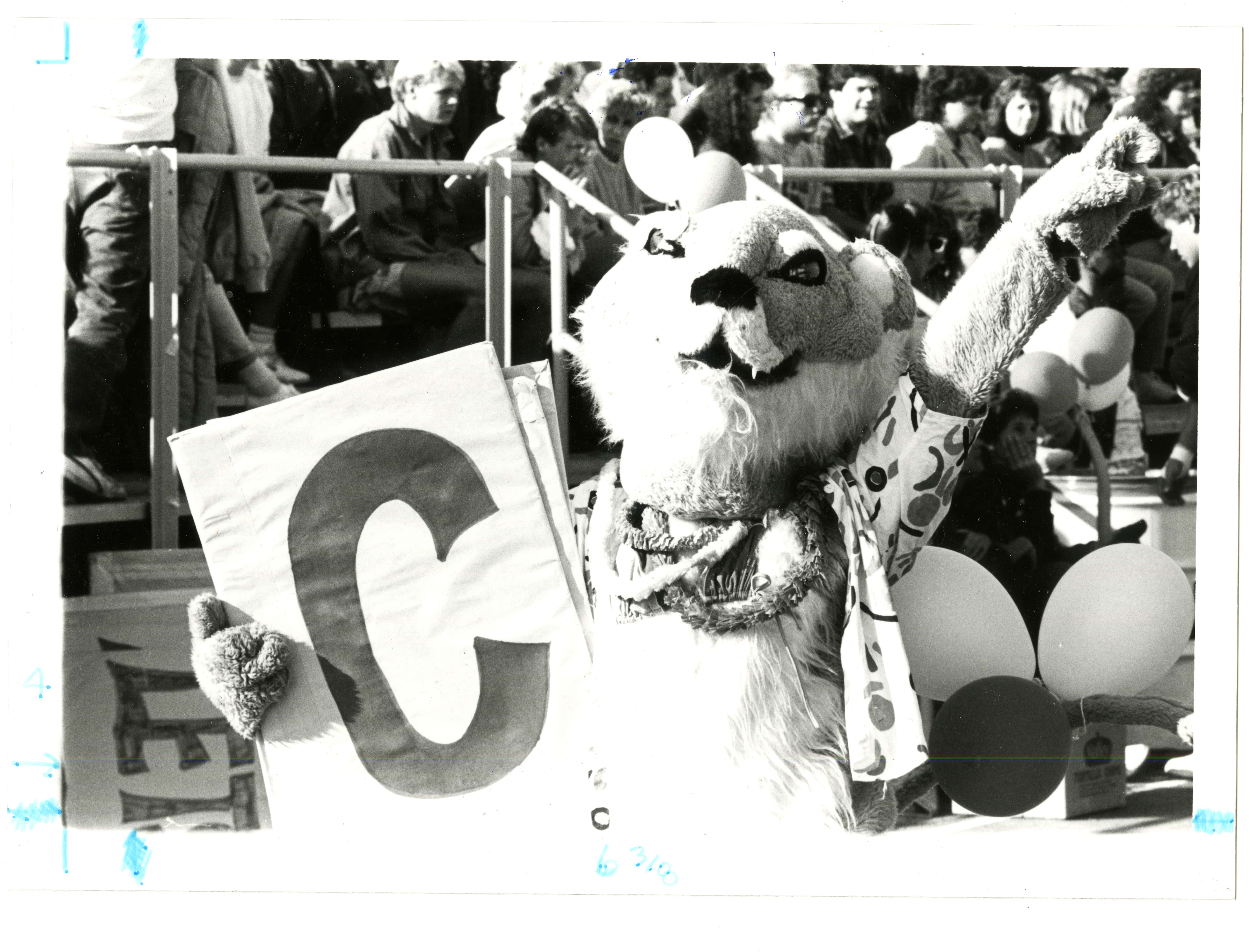 A black and white picture of the oldschool Wellington the Wildcat Mascot.
