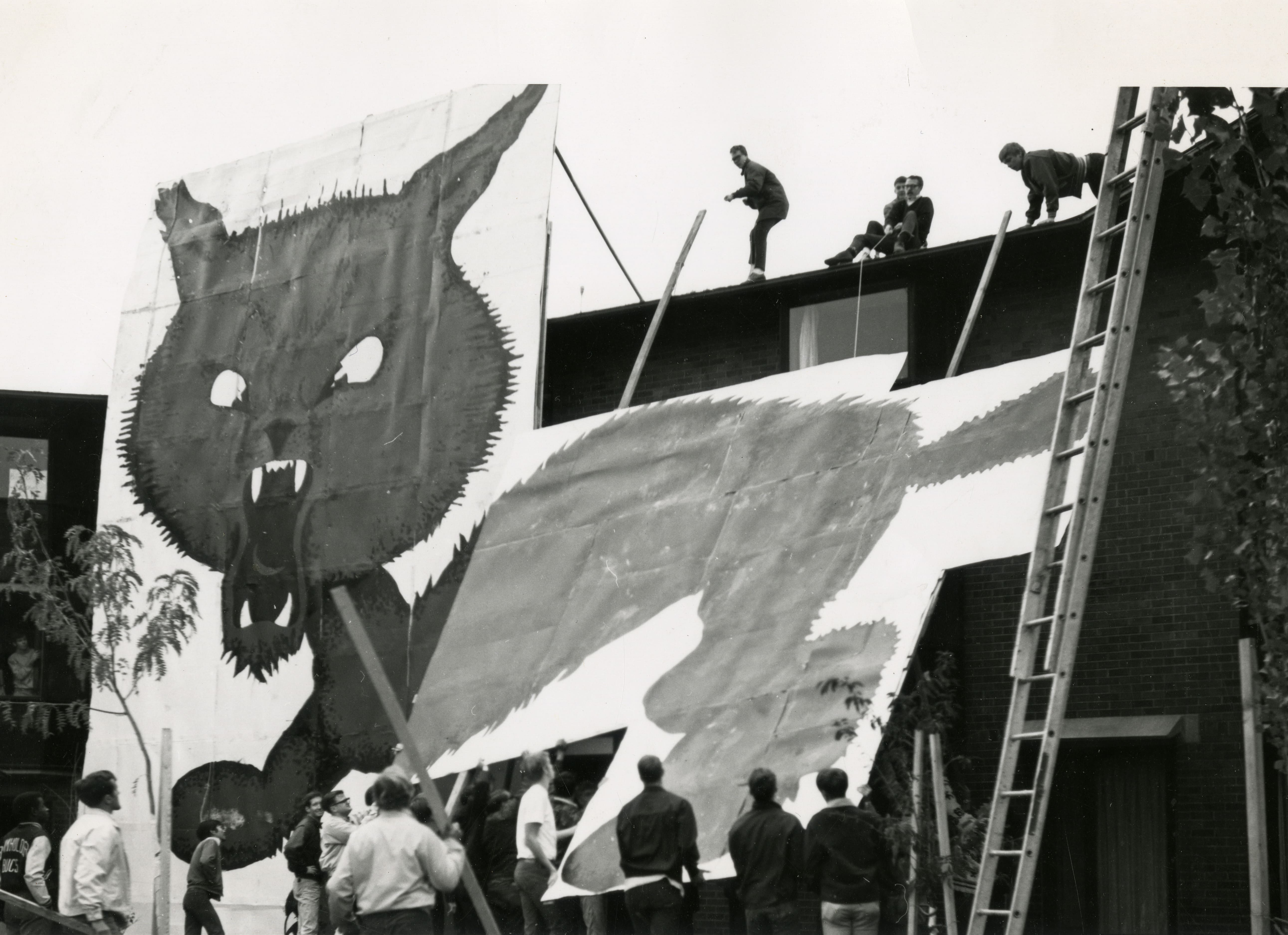 A black and white picture of students helping to put up a big sign with a wildcat on it. They are putting it in front of a residence hall, it is the same height as the building.